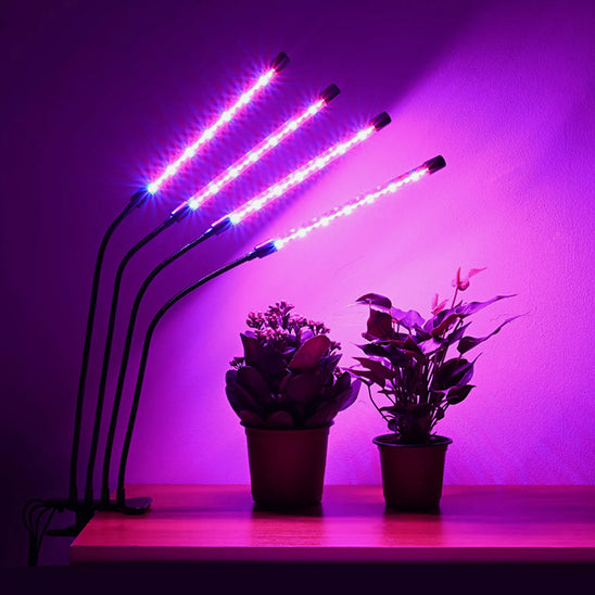 lampe-horticole-led-hoya-rouge-1