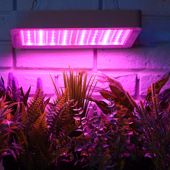 lampe-pour-plante-musa-moderne