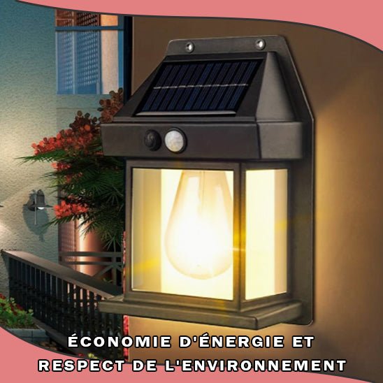 Éclairage extérieur solaire avec détecteur - Draco™ - Jardinerie Plaisir