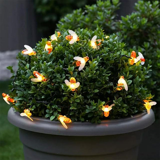 guirlande-lumineuse-solaire-anthophila-decoratif