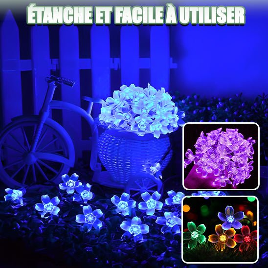 Guirlande lumineuse solaire - Fleurs - Jardinerie Plaisir