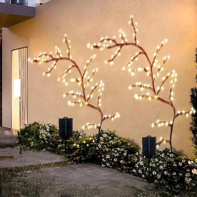 guirlande-solaire-vigna-lumineux