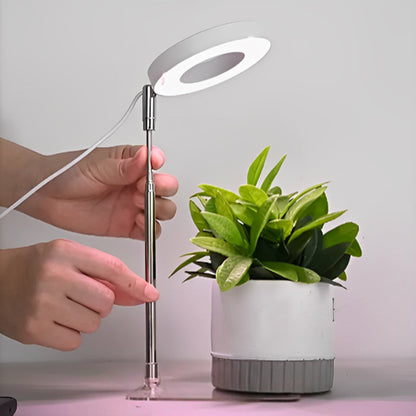 lampe-horticole-gasteria-chic-1
