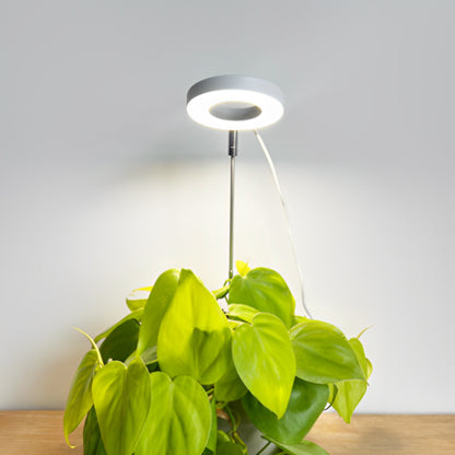 lampe-horticole-gasteria-discret-1