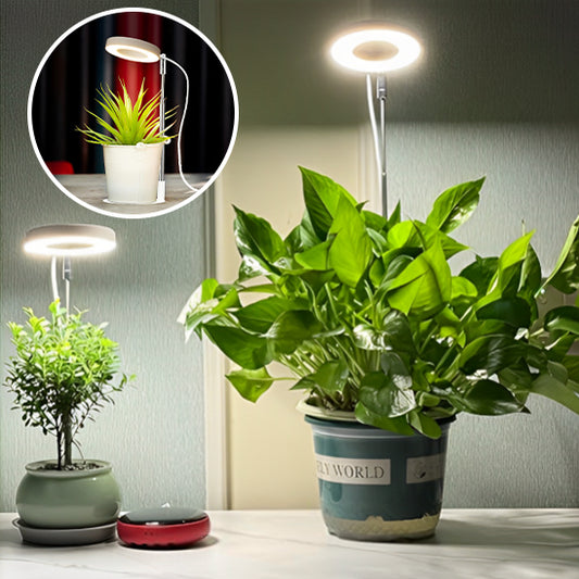 lampe-horticole-gasteria-lumineuse