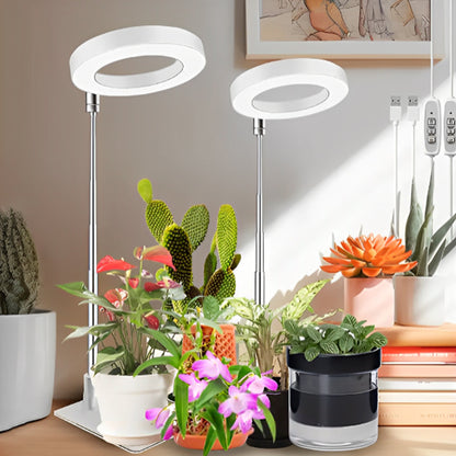 lampe-horticole-gasteria-moderne-1