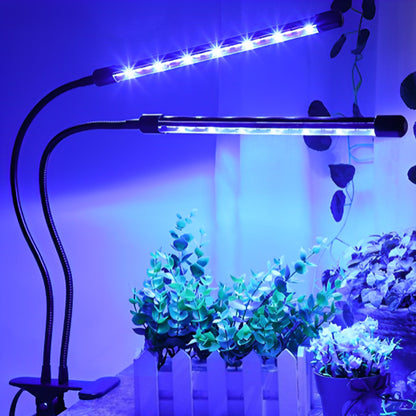 lampe-horticole-led-hoya-bleu-1