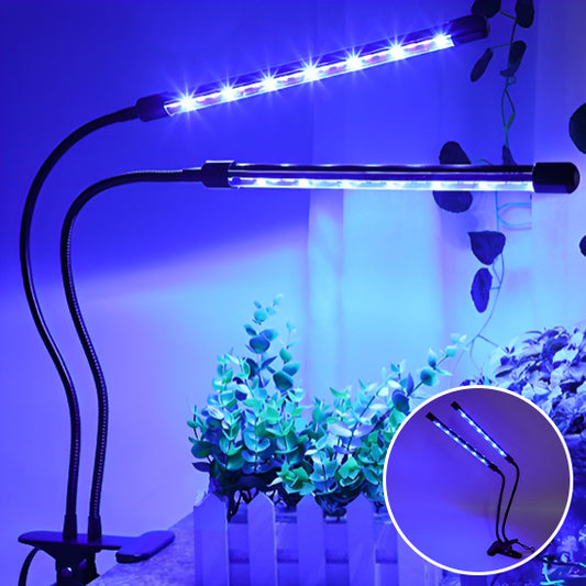 lampe-horticole-led-hoya-bleu