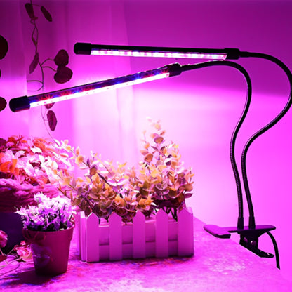 lampe-horticole-led-hoya-brillant-1