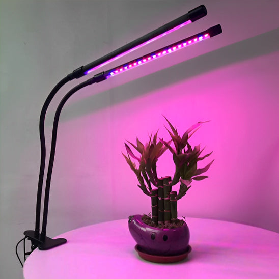 lampe-horticole-led-hoya-jardin-1