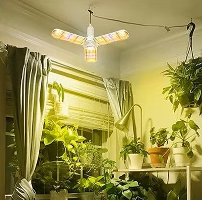 lampe-horticole-led-rhapis-lumineux-1