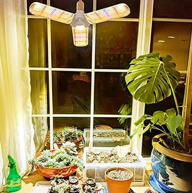 lampe-horticole-led-rhapis-moderne-1
