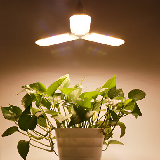 lampe-horticole-led-rhapis-plante-1