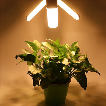 lampe-horticole-led-rhapis-pliable-1