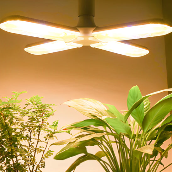 lampe-horticole-led-rhapis-principale