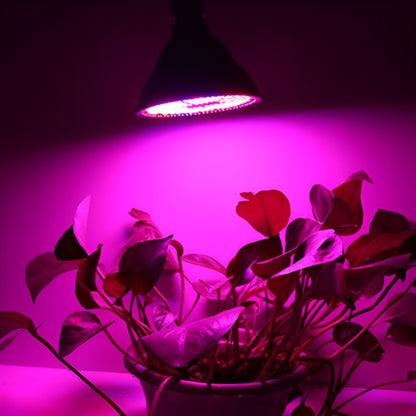 lampe-horticole-led-yucca-brillant-1