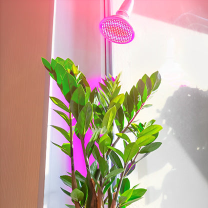 lampe-horticole-led-yucca-interieur-1