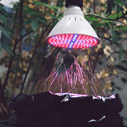 lampe-horticole-led-yucca-lumineux-1