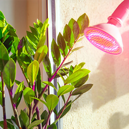 lampe-horticole-led-yucca-polyvalent-1