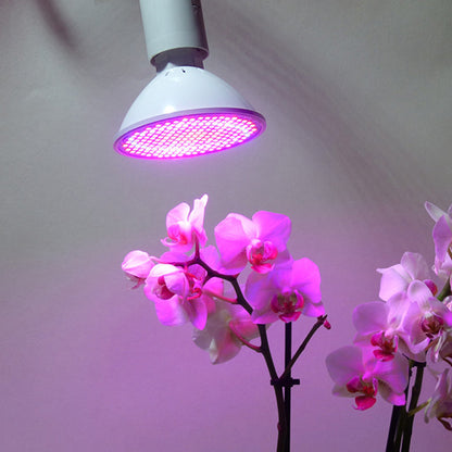 lampe-horticole-led-yucca-principale