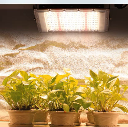 lampe-pour-plante-ficus-blanc