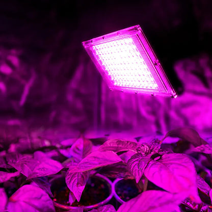 lampe-pour-plante-ficus-jardin