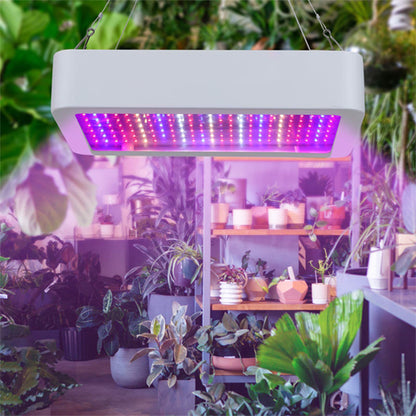 lampe-pour-plante-musa-brillant