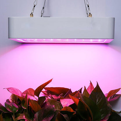 lampe-pour-plante-musa-etanche