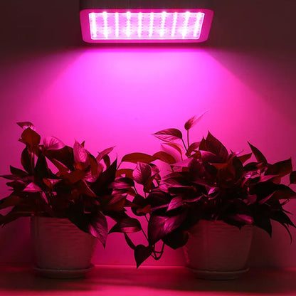lampe-pour-plante-musa-lumineux