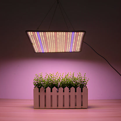 lampe-pour-plante-opuntia-jardin