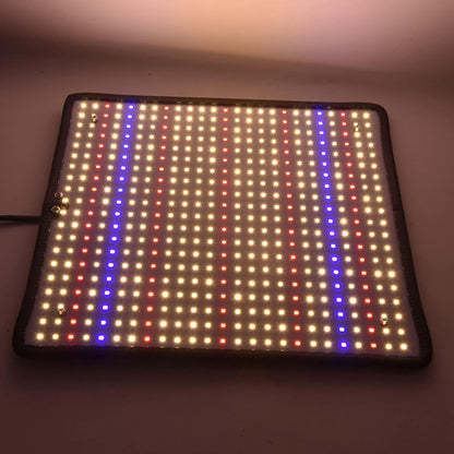 lampe-pour-plante-opuntia-led