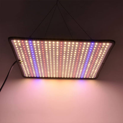 lampe-pour-plante-opuntia-spectre-complet
