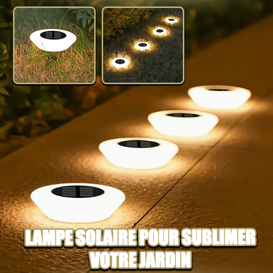 lampe-solaire-exterieur-aster-jardin