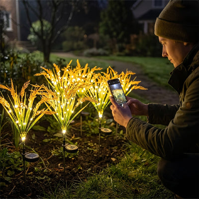 lampe-solaire-exterieur-ble-rayonnant-ecologique