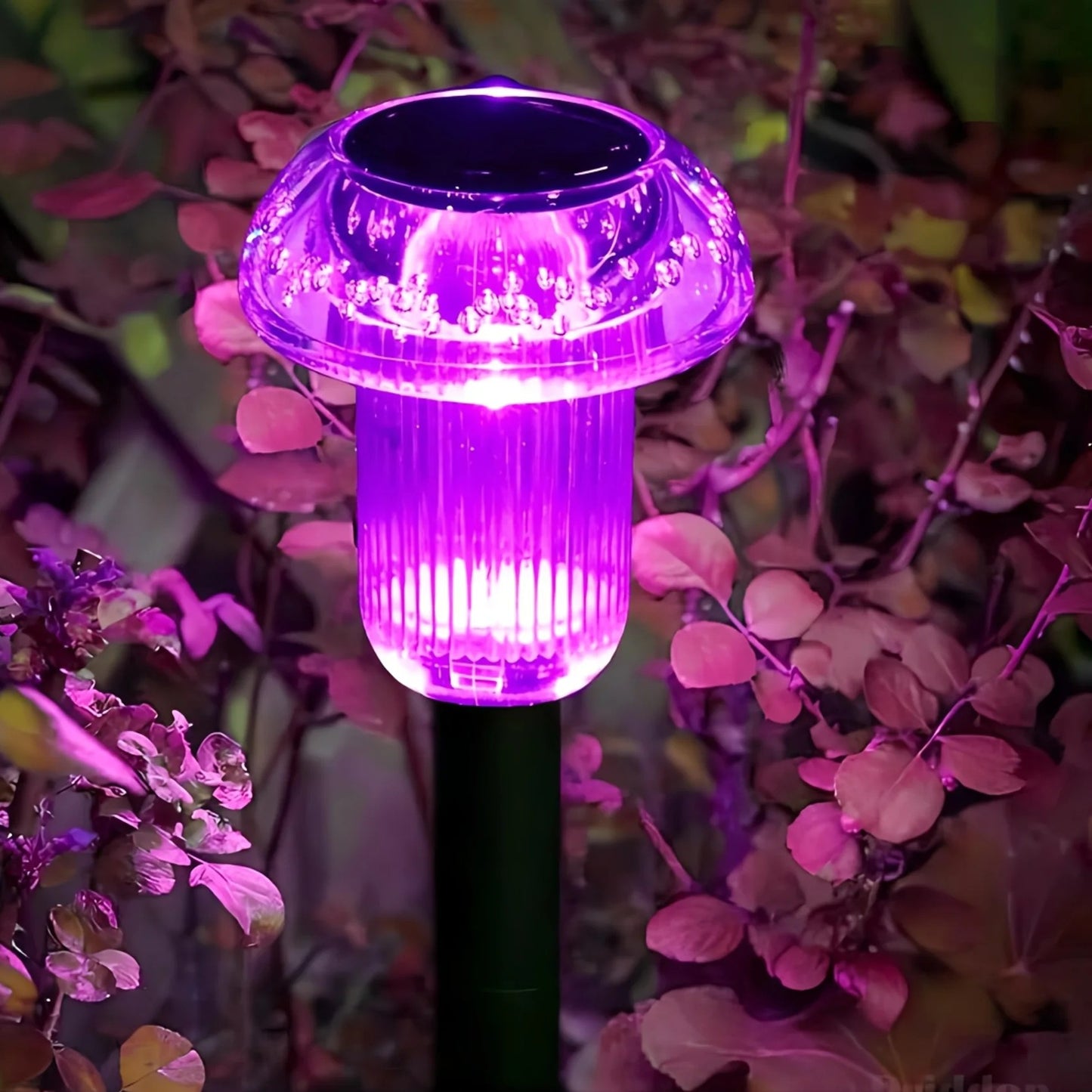 lampe-solaire-exterieur-fungi-lumineux