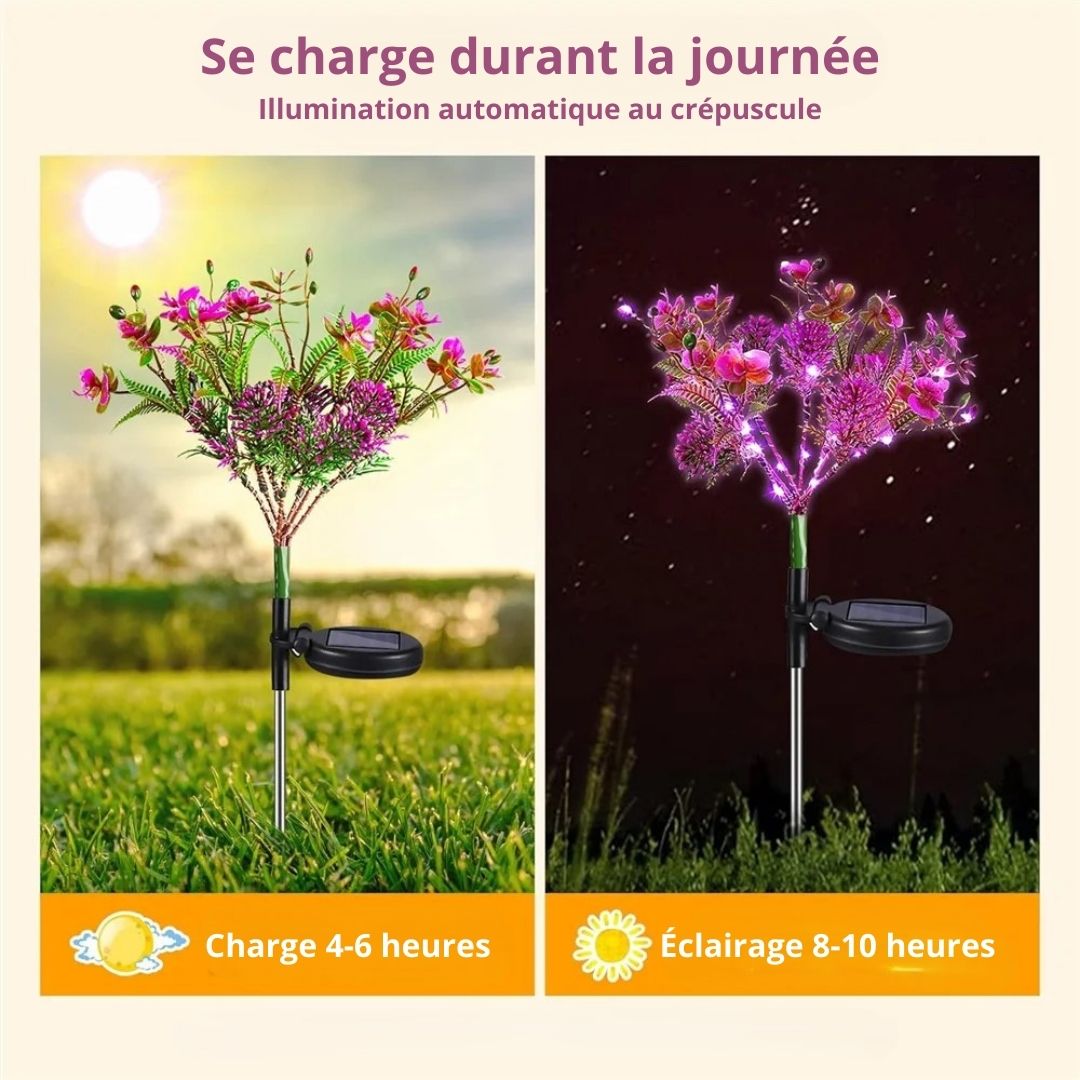 lampes-jardins-solaires-orchidee-autonome