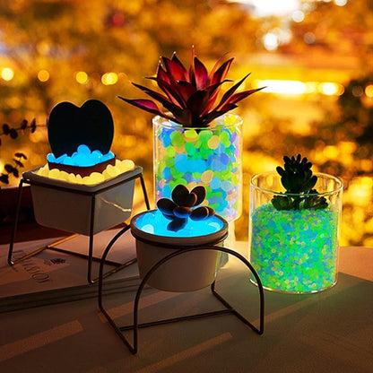 lampes-jardins-solaires-pierres-lumineuses-plantes