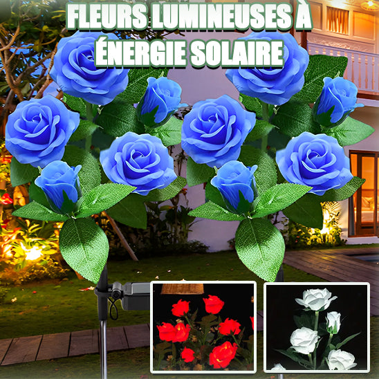 lampes-jardins-solaires-rosa-lumineuse