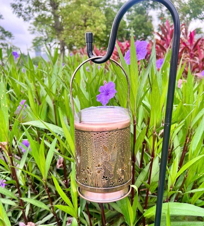 lanterne-solaire-exterieur-colibri-fer