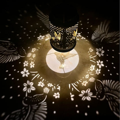 lanterne-solaire-exterieur-colibri-moderne