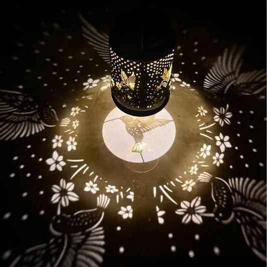 lanterne-solaire-exterieur-colibri-moderne