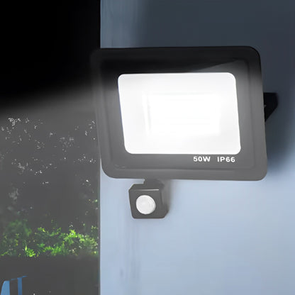 projecteur-led-avec-detecteur-de-mouvement-alcyone-polyvalent-1