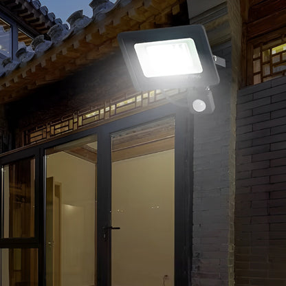 projecteur-led-avec-detecteur-de-mouvement-alcyone-securite-1